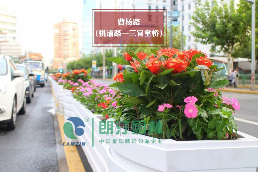 普陀区 曹杨路（桃浦路-三官堂桥段）弧形马槽道路绿化花箱效果图