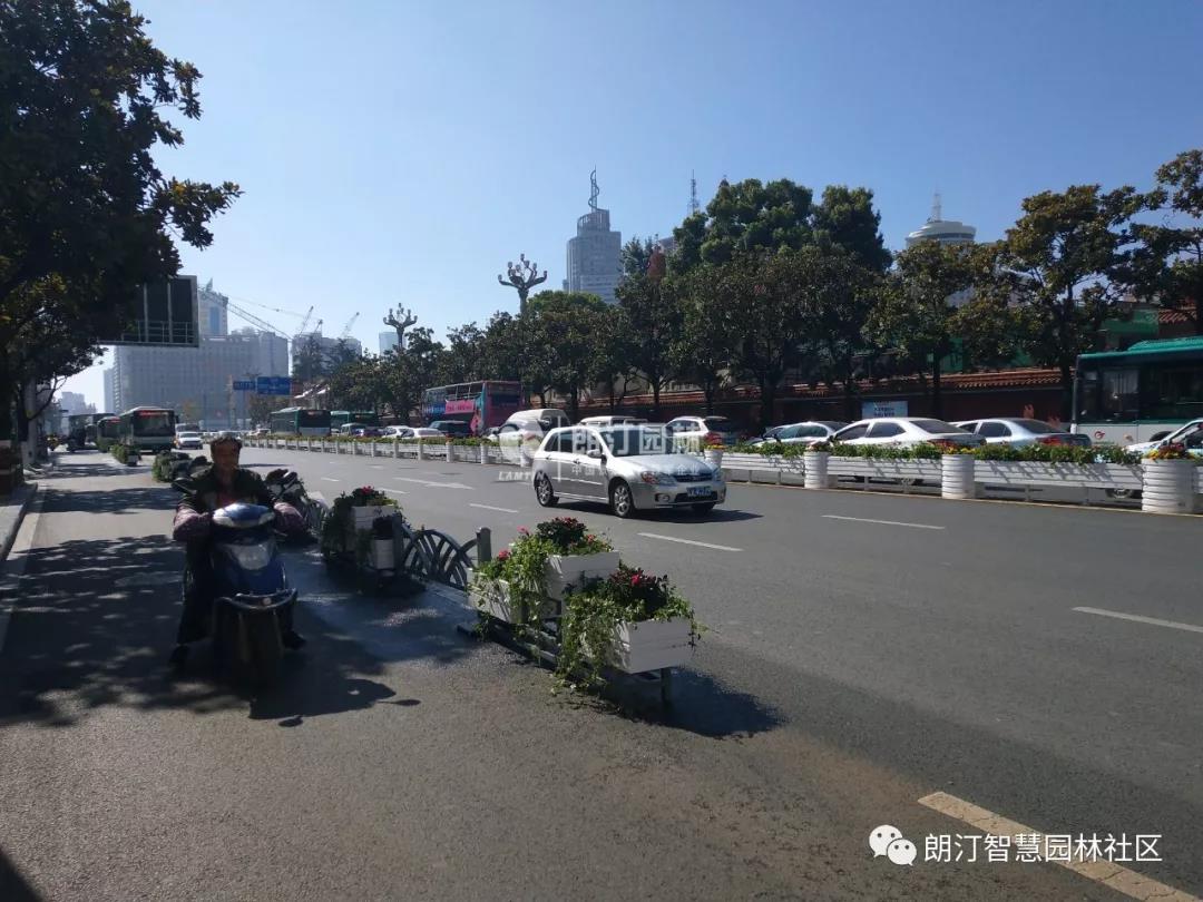 昆明北京路花箱景观