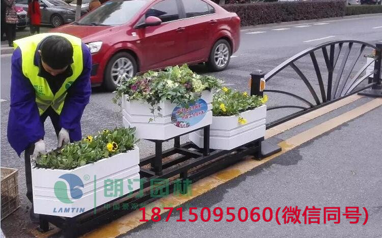 朗汀园林道路景观花箱打造巢湖生态家园建设