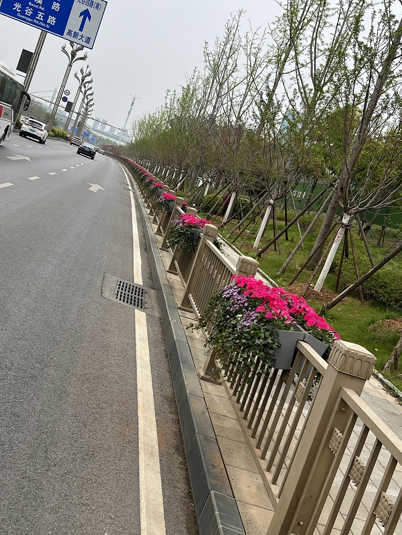 马鞍花盆