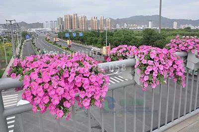 高架桥花盆